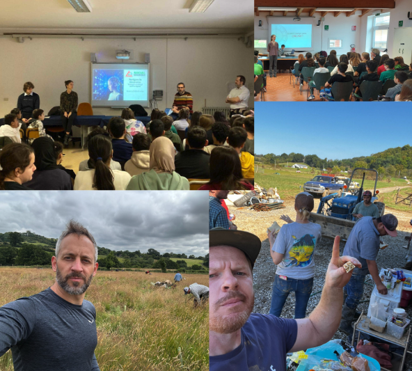 simscale colleagues volunteering